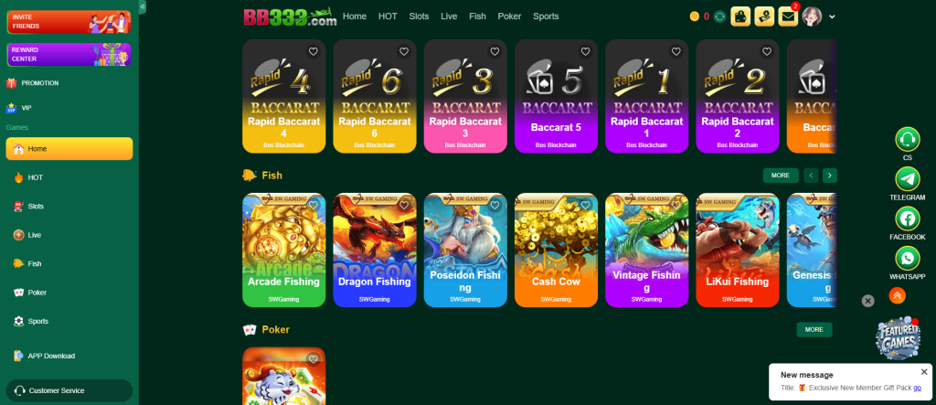 BB333 Game